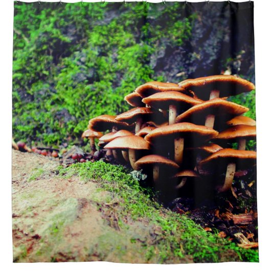 Pilze Duschvorhang (Vorderseite)