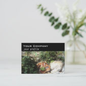 Pilze, Efeu, Steine Visitenkarte (Stehend Vorderseite)