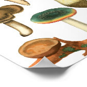 Pilze Fungi Pflanze Natur Botanicals Kunst Poster (Ecke)