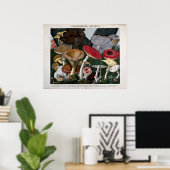 Pilze Fungi Poster (Heimbüro)