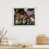 Pilze Fungi Poster (Küche)