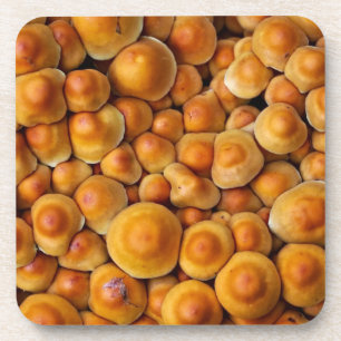 Pilze Fungus Getränkeuntersetzer