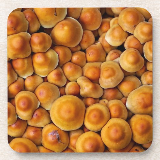Pilze Fungus Getränkeuntersetzer (Vorderseite)