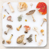 Pilze Fungus Getränkeuntersetzer (Vorderseite)