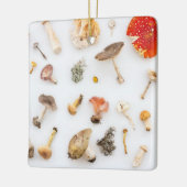 Pilze Fungus Keramikornament (Links)