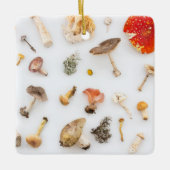 Pilze Fungus Keramikornament (Vorderseite)