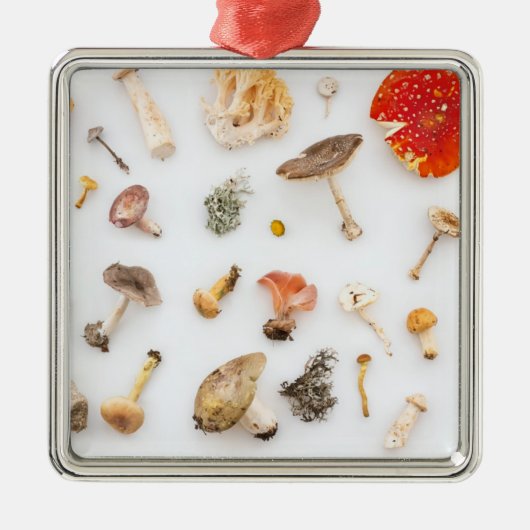 Pilze Fungus Ornament Aus Metall (Vorne)