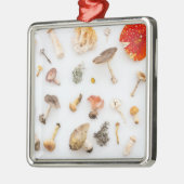 Pilze Fungus Ornament Aus Metall (Links)