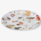 Pilze Fungus Pappteller (Schrägansicht)