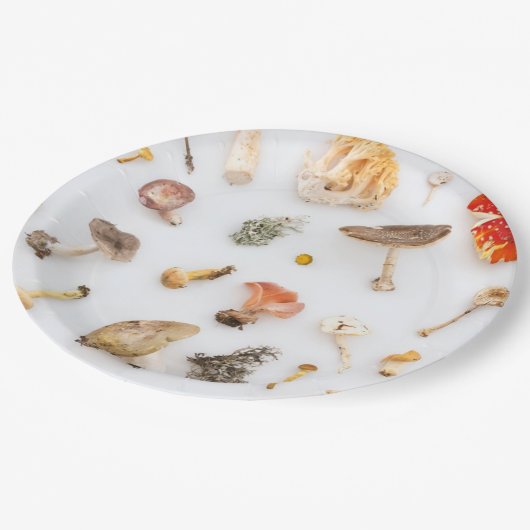 Pilze Fungus Pappteller (Schrägansicht)