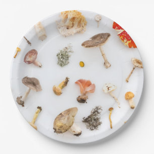 Pilze Fungus Pappteller