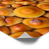Pilze Fungus Poster (Ecke)