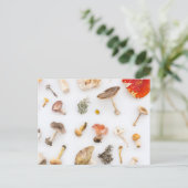 Pilze Fungus Postkarte (Stehend Vorderseite)