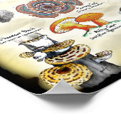 Pilze (genießbar und medizinisch) poster (Ecke)