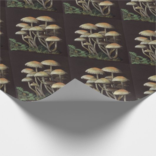 Pilze Geschenkpapier (Ecke)
