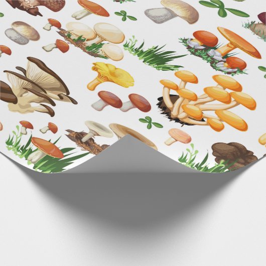 Pilze Geschenkpapier (Ecke)