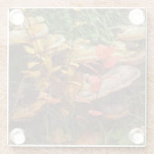 Pilze Glasuntersetzer (Rückseite)