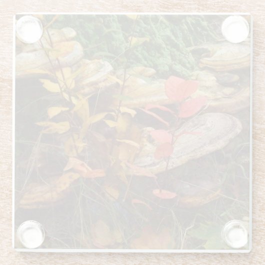 Pilze Glasuntersetzer (Rückseite)