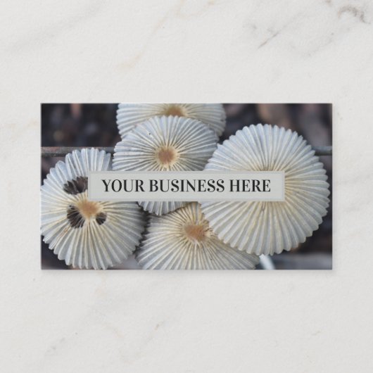 Pilze im Freien Pilzpilz, die Pilze schüren Visitenkarte (Vorderseite)