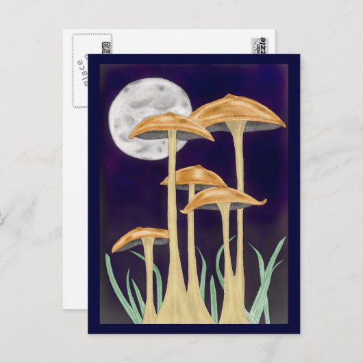 Pilze im Mondschein Postkarte (Vorne/Hinten)