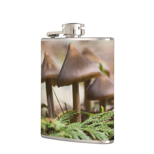 Pilze im Wald Flachmann (Links)