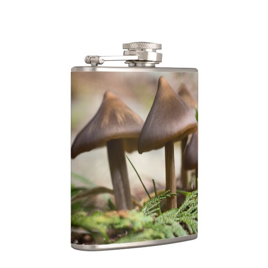 Pilze im Wald Flachmann (Rechts)