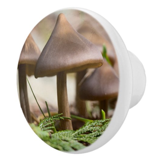 Pilze im Wald Keramikknauf (Rechts)