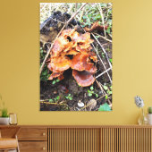Pilze im Wald Leinwanddruck (Insitu (Wohnzimmer))