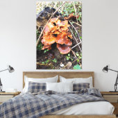 Pilze im Wald Leinwanddruck (Insitu (Schlafzimmer))