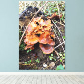 Pilze im Wald Leinwanddruck (Insitu (Holzboden))