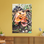 Pilze im Wald Leinwanddruck (Insitu (Wohnzimmer))