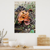 Pilze im Wald Poster (Küche)