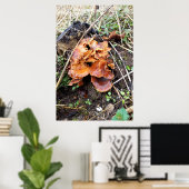 Pilze im Wald Poster (Heimbüro)