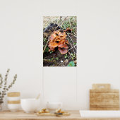 Pilze im Wald Poster (Küche)
