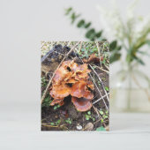 Pilze im Wald Postkarte (Stehend Vorderseite)