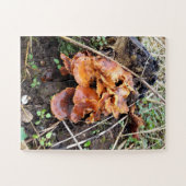 Pilze im Wald Puzzle (Horizontal)