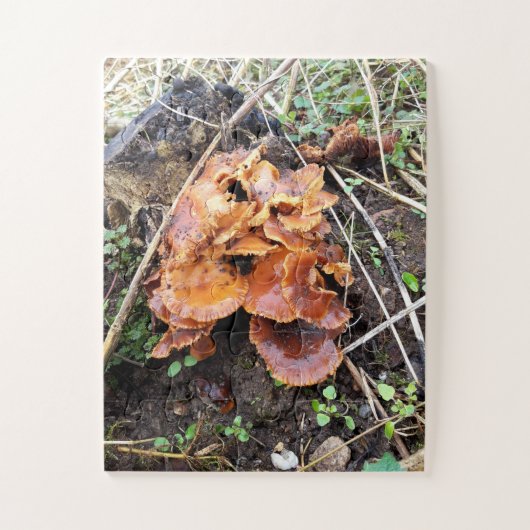 Pilze im Wald Puzzle (Vertikal)