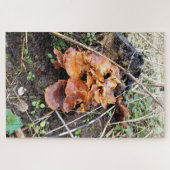 Pilze im Wald Puzzle (Horizontal)