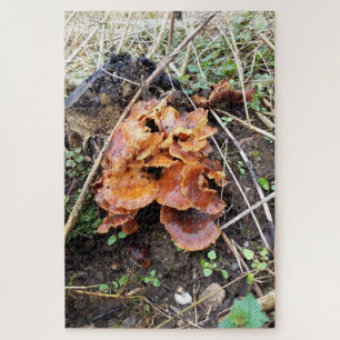 Pilze im Wald Puzzle