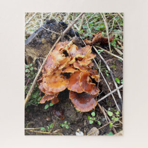 Pilze im Wald Puzzle