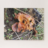 Pilze im Wald Puzzle (Horizontal)