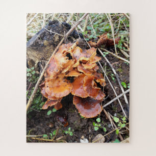 Pilze im Wald Puzzle