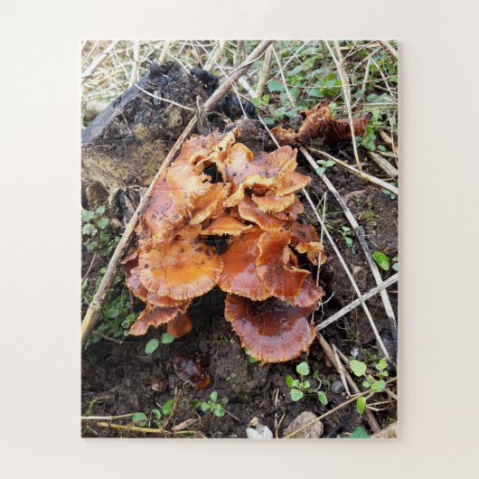 Pilze im Wald Puzzle (Vertikal)