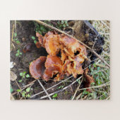 Pilze im Wald Puzzle (Horizontal)