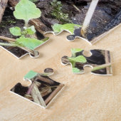 Pilze im Wald Puzzle (Seite)