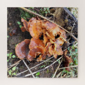 Pilze im Wald Puzzle (Horizontal)