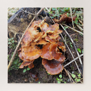 Pilze im Wald Puzzle