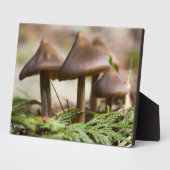 Pilze im Waldblock Foto Fotoplatte (Seite)