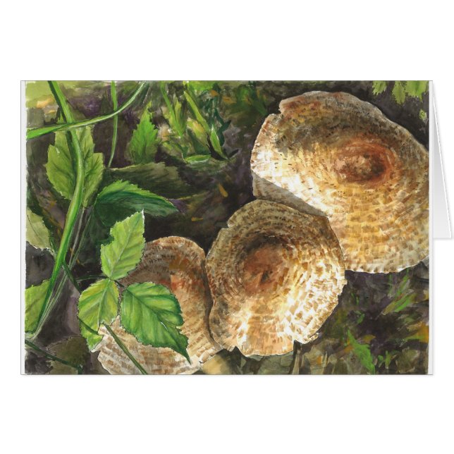 Pilze immer attraktiv für die Augen von Onlooke (Vorderseite (Horizontal))