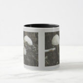 Pilze in der Tasse (Zentrum)